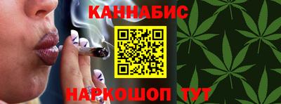 трава Гатчина