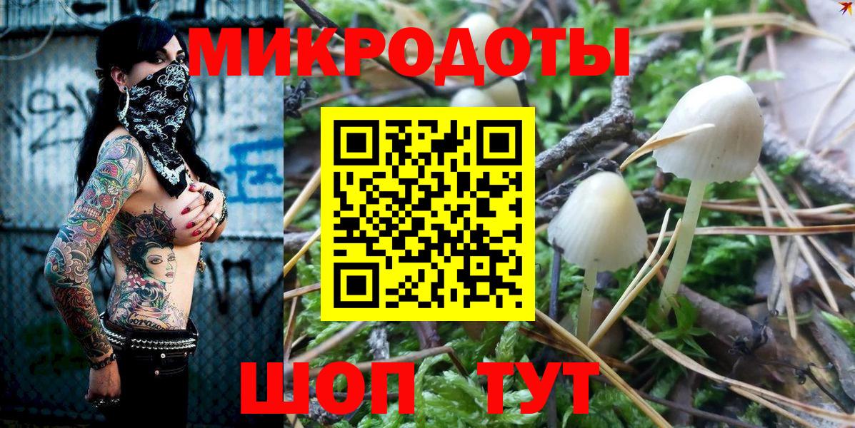 Псилоцибиновые грибы Psilocybine cubensis Острогожск