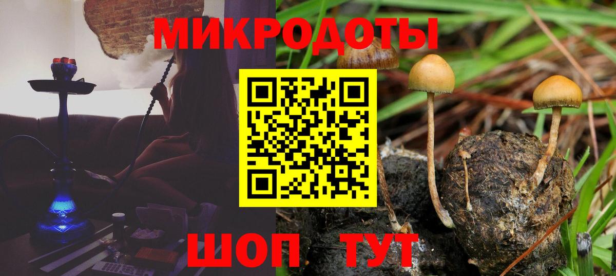 Галлюциногенные грибы GOLDEN TEACHER Острогожск