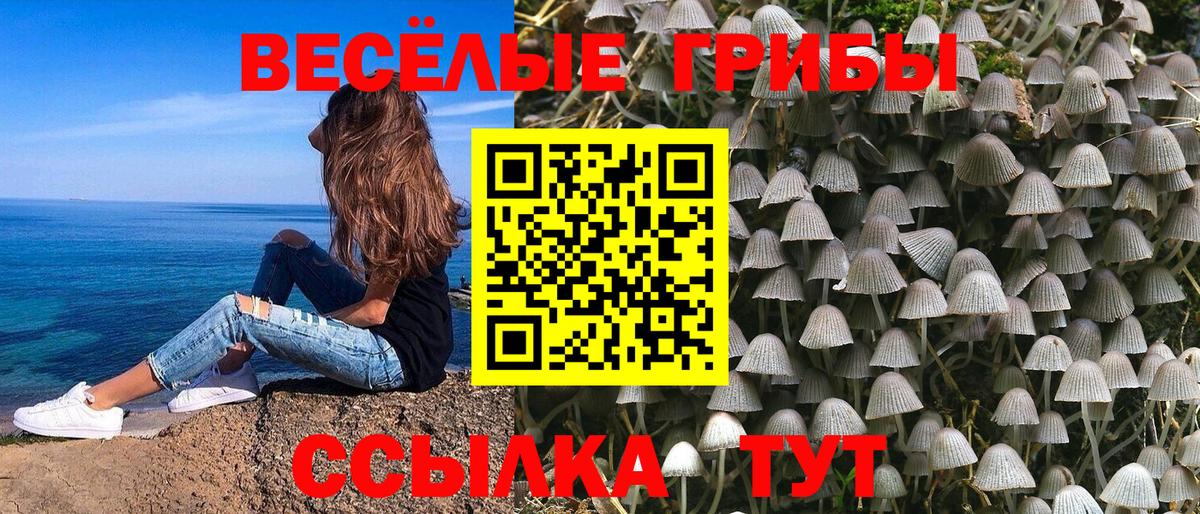 Острогожск  Псилоцибиновые грибы мухоморы  Вход с VPN 