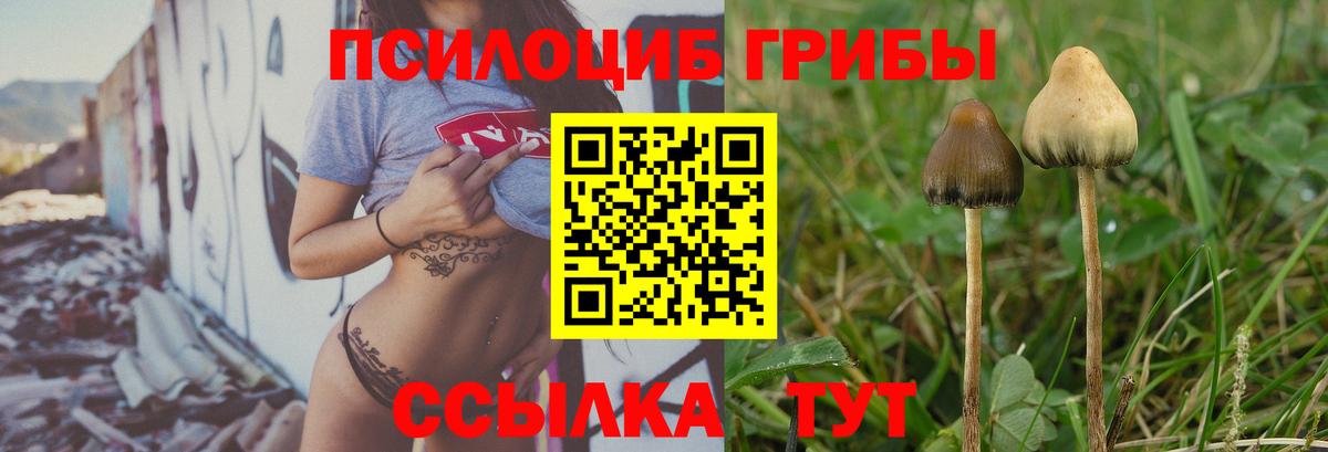 Галлюциногенные грибы GOLDEN TEACHER  Острогожск  даркнет сайт  Псилоцибиновые грибы MAGIC MUSHROOMS 